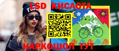 индика Кандалакша