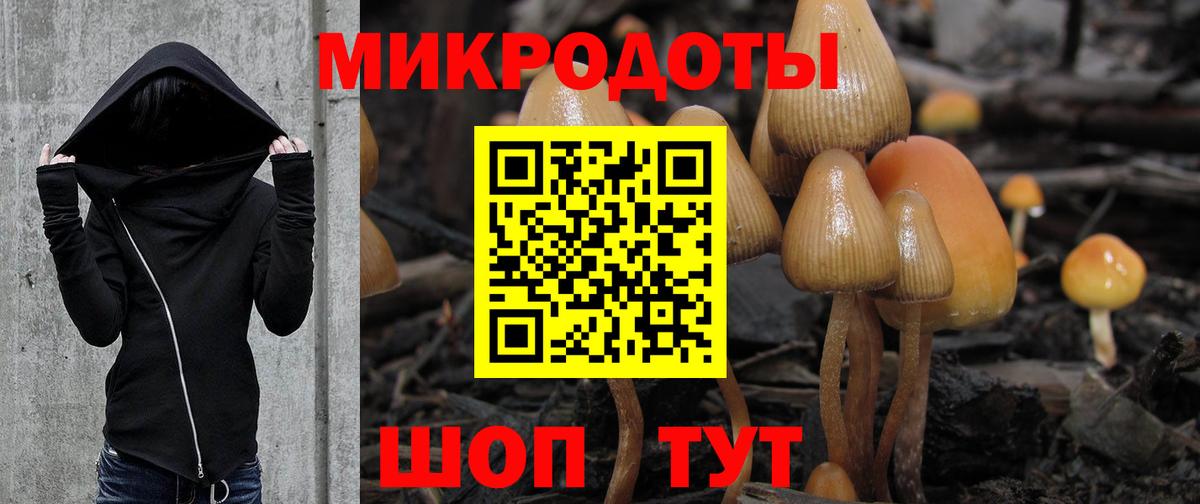 Галлюциногенные грибы прущие грибы Магнитогорск